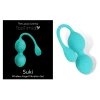 TooTimid.com Vibrating Kegel Ball Exerciser Set
