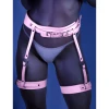 Fantasy Lingerie Strapped In Glow Leg Harness