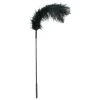 Sportsheets Ostrich Feather